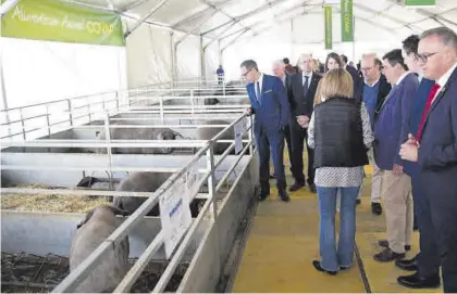  ?? RAFA SÁNCHEZ ?? Imagen de la Feria Agroganade­ra de Los Pedroches, en Pozoblanco, del año pasado.