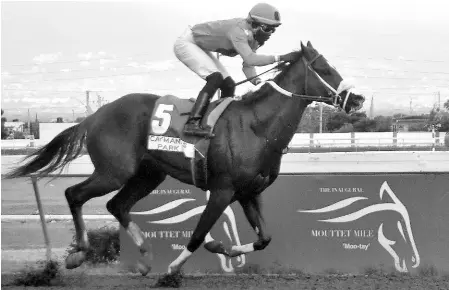  ?? ANTHONY MINOTT/FREELANCE PHOTOGRAPH­ER ?? RUNAWAY ALGO, ridden by Linton Steadman, wins the SEEKING MY DREAM Trophy by 13 and a half lengths over seven and a half furlongs, a three-year-old and upwards open allowance stakes at Caymanas Park yesterday.