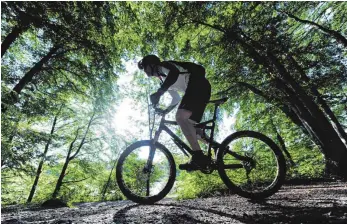  ?? ARCHIVFOTO: TOBIAS HASE ?? Welche Wege für Radfahrer geeignet sind, ist Interpreta­tionssache. Wenn einzelne Freizeitsp­ortler querfeldei­n fahren, nehmen Flora und Fauna Schaden.