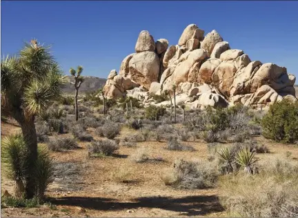  ?? ADOBE STOCK PHOTO ?? Mojave Desert.