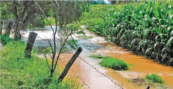  ?? FOTOS: CORTESÍA ?? Tierras agrícolas de Tototlán afectadas por el desborde del río Zula