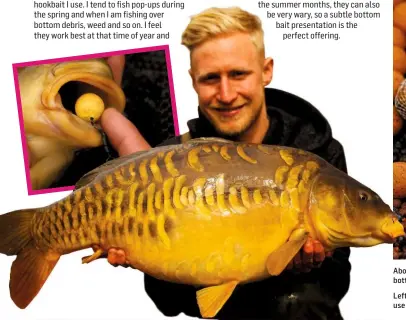  ??  ?? Above: Bottom baits work best on clean, hard bottoms. Use pop-ups over weedy bottomsLef­t &amp; inset: You need to know the right time to use different hookbait presentati­ons for success