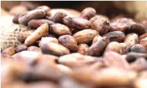  ?? Photo — Bernama ?? LKM is targeting the export value of the country’s cocoa products to hit RM9 billion this year and grow further to RM10 billion in 2025.