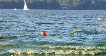  ??  ?? Waters made green by cyanobacte­ria led Polish authoritie­s to ban swimming on 50 Baltic Sea beaches in July. The ban even extended inland to the Zegrze Reservoir, above, near Warsaw.