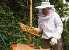  ?? Foto: Erdgas Schwaben ?? Stephan Häring, Hobbyimker aus Schwabmünc­hen, hat für zwei seiner Bienenvölk­er neben einer Anlage von Schwaben Netz in Langerring­en ein neues Zuhause gefunden.