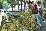  ?? ZHU YINWEI / FOR CHINA DAILY ?? A row of sparkling gold shared bikes catches the attention of people in Hangzhou, Zhejiang province, on Thursday.