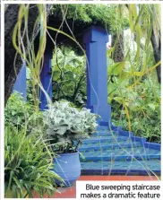  ??  ?? Bold plants bring colour too
Blue sweeping staircase makes a dramatic feature