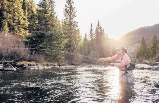  ?? RYAN DUCLOS ?? Erica Nelson casts her fly in the Taylor River in Almont, Colorado. Nelson shines a light on the topics nobody talks about in her sport.