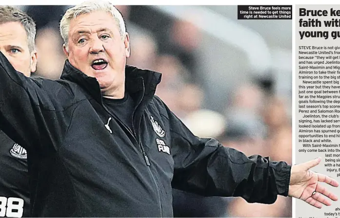  ??  ?? Steve Bruce feels more time is needed to get things right at Newcastle United