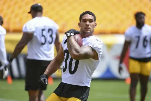  ?? Pittsburgh Steelers ?? Steelers running back James Conner (30) leads a rushing attack that will be a bigger part of the offense this year.