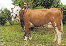  ?? FOTO: DIETER KRAFT ?? Die Raldi-Tochter von der Kemmler Landwirtsc­hafts-GbR glänzte mit schaufähig­em Exterieur.