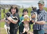  ?? DESIREE ANSTEY/ JOURNAL PIONEER ?? Trina Matheson (left) holding Harley the pug, Tanya Matheson with her partially trained guide dog, Peek-a-Boo, and Wendell MacArthur holding Riley.