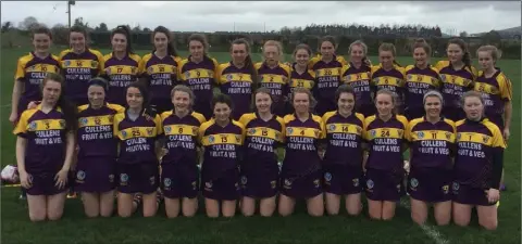  ??  ?? The unlucky Wexford Under-16 ‘B’ camogie squad.