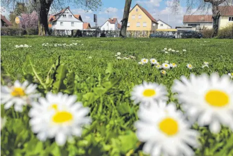  ?? FOTO: JENNIFER KUHLMANN ?? Der Schillerga­rten soll künftig weiter für Veranstalt­ungen und Feste genutzt werden können, auch wenn er neu gestaltet wird.