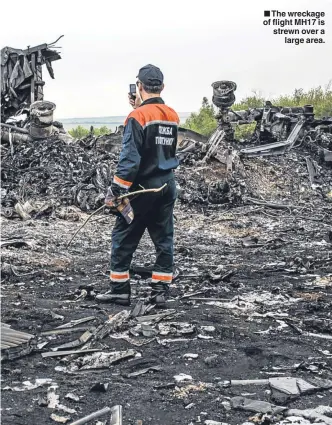  ??  ?? The wreckage of flight MH17 is strewn over a
large area.