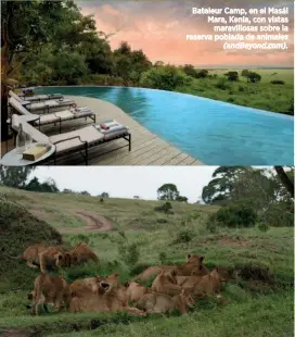 ??  ?? Bateleur Camp, en el Masái Mara, Kenia, con vistas maravillos­as sobre la reserva poblada animales (andBeyond.com).