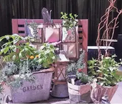  ?? ?? Gardeners can learn how to grow and use culinary herbs in the Edible Garden exhibit at the Dispatch Home and Garden Show.