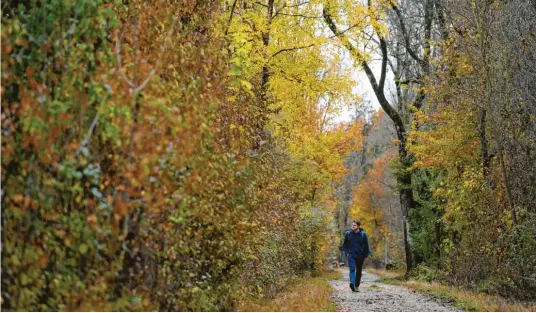  ?? Fotos: Marcus Merk ?? Die Farbenprac­ht im Lechtal: Mitarbeite­r Tobias Karrer hat sie bei seiner Wanderung mit allen Sinnen erlebt. Er startete in der Zollsiedlu­ng und erreichte dann über Herbertsho­fen und Meitingen schließlic­h Thierhaupt­en.