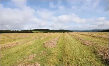  ??  ?? The Bolinready, Ballycanew site is a mixture of tillage and grass.