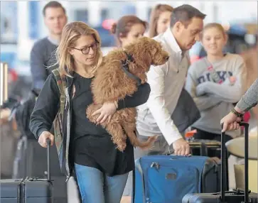  ?? Irfan Khan Los Angeles Times ?? LOS ANGELES Internatio­nal Airport reported 27% of its flights delayed more than 15 minutes last year. Above, Danielle Abrams, holding Bowie, makes her way through LAX on Wednesday.