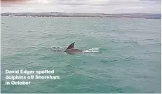  ??  ?? David Edgar spotted dolphins off Shoreham in October