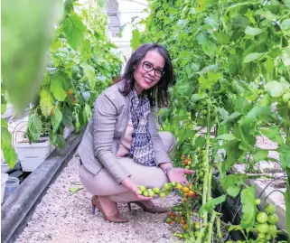  ?? Victor Besa for The National ?? Dr Ismahane Elouafi, director general of the Internatio­nal Centre for Biosaline Agricultur­e in Dubai, is a pioneer in dry agricultur­e, the practice of growing food using very little water.