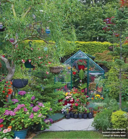  ?? ?? Pots and hanging baskets cascade with colour on every level