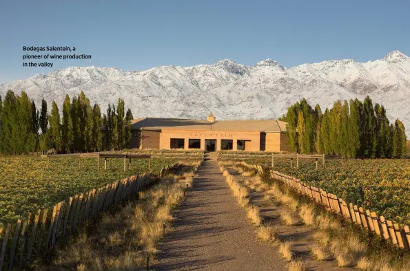  ??  ?? Bodegas Salentein, a pioneer of wine production in the valley