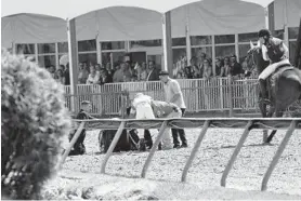  ?? LAUREN HELBER/AP ?? Officials tend to Congrats Gal after the horse collapsed after the eighth race at Pimlico.