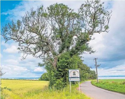  ?? Picture: Steve MacDougall. ?? The area in which the retirement village would be built if backed.