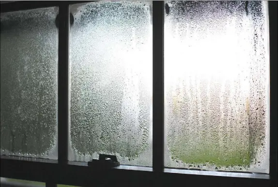  ?? STEVE MAXWELL ?? Wet wintertime windows like these indicate indoor humidity levels are too high, and indoor air quality isn’t what it should be. Increasing ventilatio­n solves both these problems.
