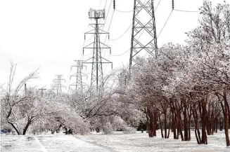  ?? Tony Gutierrez/Associated Press ?? A pedestrian walkway is lined by trees covered with ice from a few days of sleet and freezing rain in Dallas. Across the state, 430,000 people lost power in the winter storm.