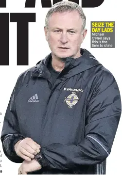  ??  ?? SEIZE THE DAY LADS Michael O’Neill says this is the time to shine