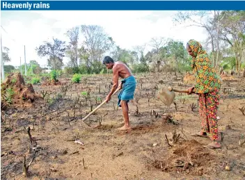  ??  ?? Farmers in Karuwalaga­swewa in the Puttalam district prepare their fields for vegetable growing after recent showers. The area had been stricken by drought for several months. Jayararatn­e Wickremara­chchi