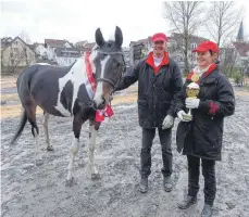  ??  ?? Bei den Warmblüter­n siegte die sechsjähri­ge Stute „Kam, sah und siegte“von Anja Rieger aus Abtsgmünd.