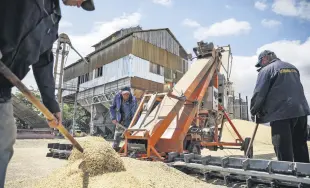  ?? ?? Ukrainian farmers load barley during harvest in the Odessa area, Ukraine, June 23, 2022.