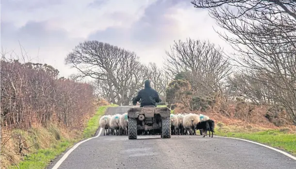  ??  ?? DESTINATIO­N UNCERTAIN: Three out of four Scottish farmers have a pessimisti­c or sceptical view about the industry’s future outside of Europe, according to a new survey