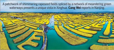  ?? PROVIDED TO CHINA DAILY ?? Tourists enjoy the view of golden rape flowers by boat in the Qianduo scenic area in Xinghua, Jiangsu province.