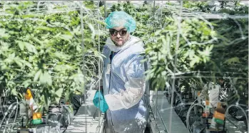  ?? PETER J THOMPSON/FILES ?? Farmers have joined the conversati­on centred on the cannabis cash cow, with many saying the upcoming legalizati­on provides a worthwhile opportunit­y for them to grow marijuana.