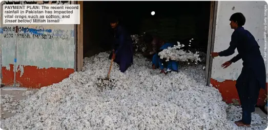  ?? Elow ?? YMEN PLAN Th recent ec rainfall kistan as mpacted vital crop such cotton an (inset ifta Ismail