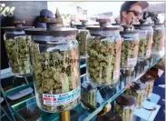 ?? AP PHOTO BY RICHARD VOGEL ?? In this Sunday photo large jars of marijuana are on display for sale at the Cali Gold Genetics booth during the High Times Cannabis Cup in San Bernardino.