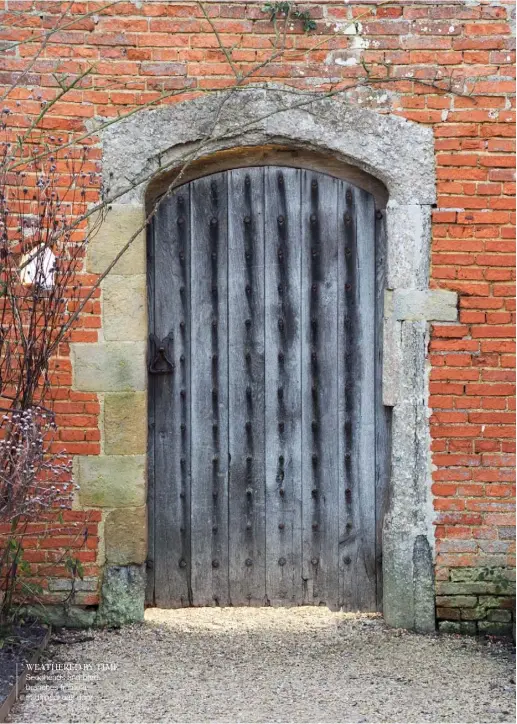  ??  ?? WEATHERED BY TIME Seedheads and bare branches frame a traditiona­l oak door