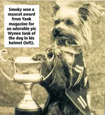  ??  ?? Smoky won a mascot award from Yank magazine for an adorable pic Wynne took of the dog in his helmet (left).