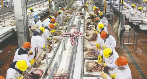  ?? JBS ?? Brazil-based JBS, the biggest employer in Brooks, Alta., has deployed millions of dollars to develop robot butchers, which could someday replace the workforce it’s building up.