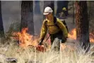  ?? Photograph: Kyle Kosma/AP ?? US Forest Service firefighte­rs carry out a prescribed burn near Bend, Oregon, on 14 May 2021.