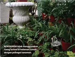  ??  ?? NORSAHIDA bijak menggunaka­n ruang terhad di halaman rumah dengan pelbagai tanaman.