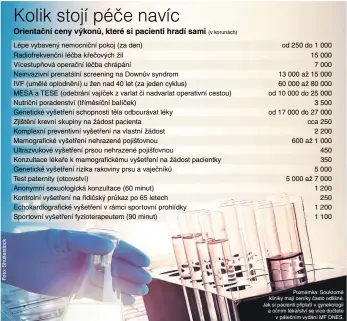  ??  ?? Poznámka: Soukromé kliniky mají ceníky často odlišné. Jak si pacienti připlatí v gynekologi­i a očním lékařství se více dočtete v pátečním vydání MF DNES.