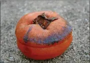  ?? ( WALTER REEVES FOR THE ATLANTA JOURNALCON­STITUTION) ?? Asian persimmons are much larger than our native persimmon.