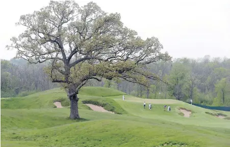  ?? RICK WOOD, MILWAUKEE JOURNAL-SENTINEL VIA AP ?? An oak tree stands between the 15th and 16th holes at Erin Hills golf course in Wisconsin, which will be the longest course in U.S. Open history. The rough is thick, and on Tuesday it was wet.