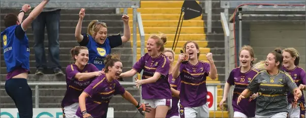  ??  ?? The Wexford bench erupts with delight after their victory over Meath in the league final in St. Brendan’s Park, Birr.